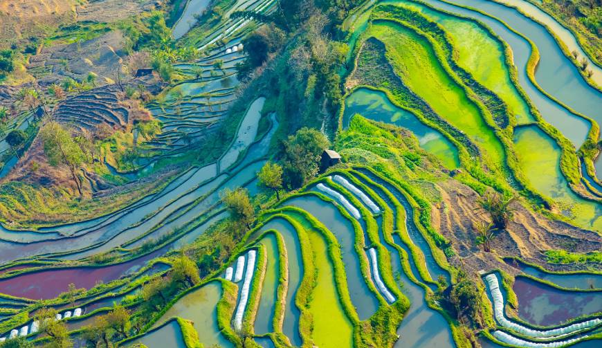 走进谯城区TVC拍摄：解锁本地化场景与创意镜头的完美融合